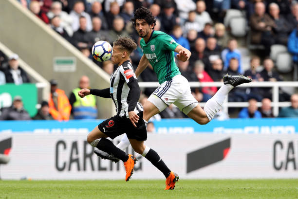 间引发了全 间引发了全